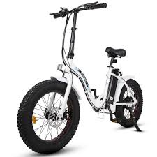 Ecotric white portable and folding fat bike model Dolphin