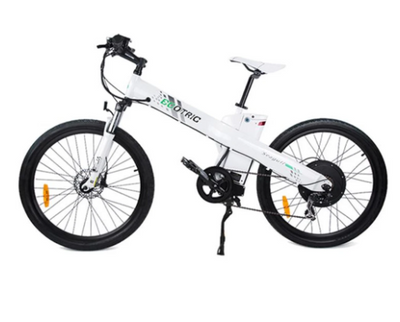 Ecotric Seagull Electric Mountain Bicycle - W